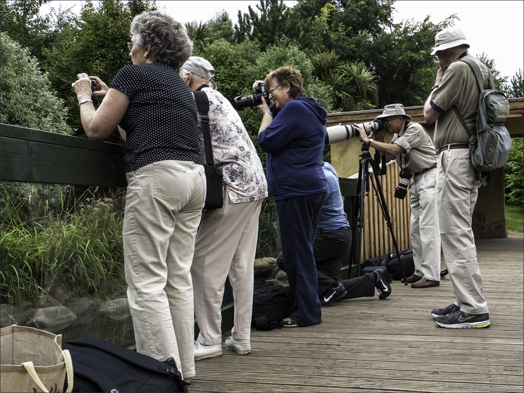 Chalfonts & Gerrards Cross Camera Club out on location