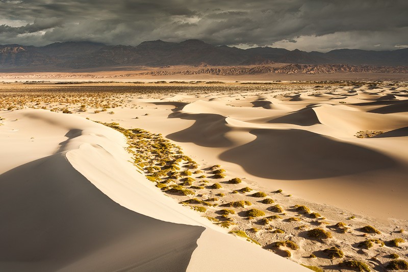 Mesquite Dunes X by David Clapp Captured in California
