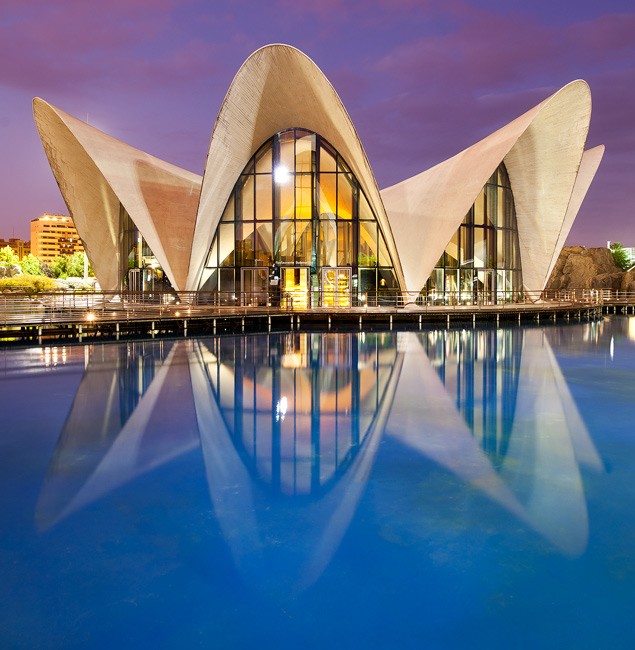 Oceanographic by David Clapp captured in Valencia, Spain