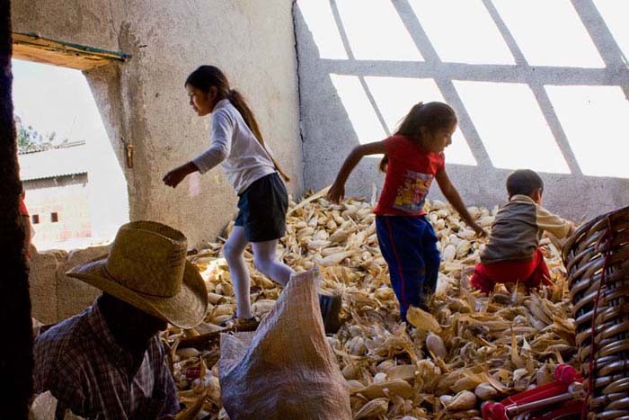 "Playing in the Corn", Oaxaca, Mexico, 2008 © Malin Sjoberg 2013.