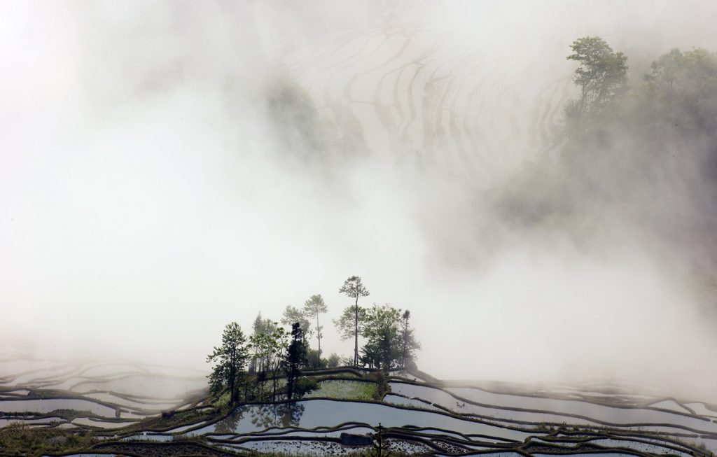 Chee Keong Lim, Misty Yuan Yang, Yuan Yang, China