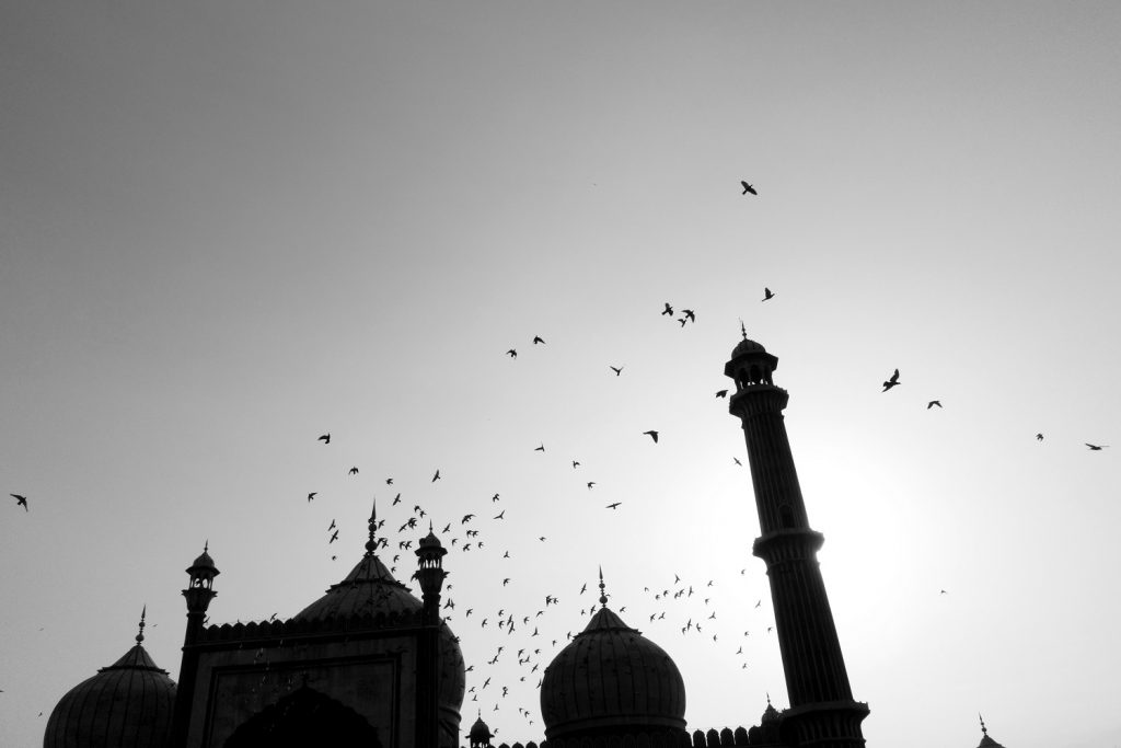 Dalip Singh, The Great Indian Mosque, Jama Masjid Delhi, India.