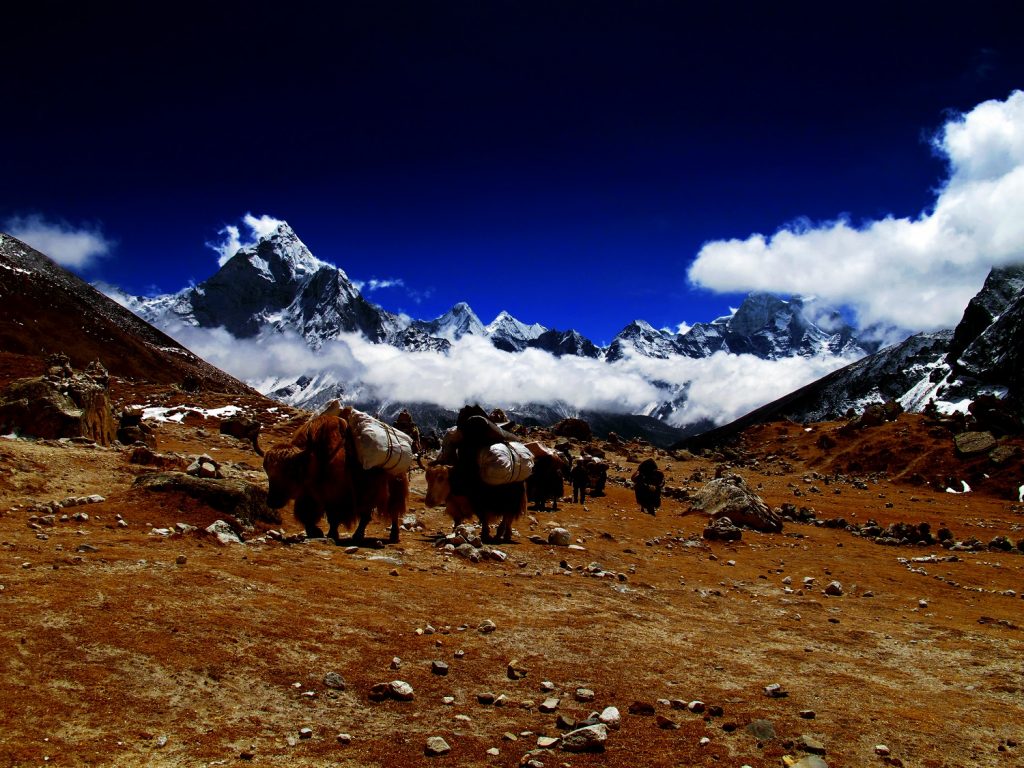 Faramarz Zareian, Migration, Base Camp Himalayas.