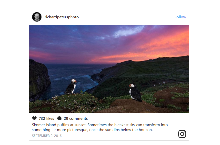 Wildlife Photogs to follow on Instagram