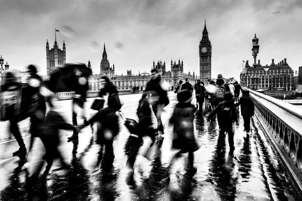 Westminster by Bergina Leka