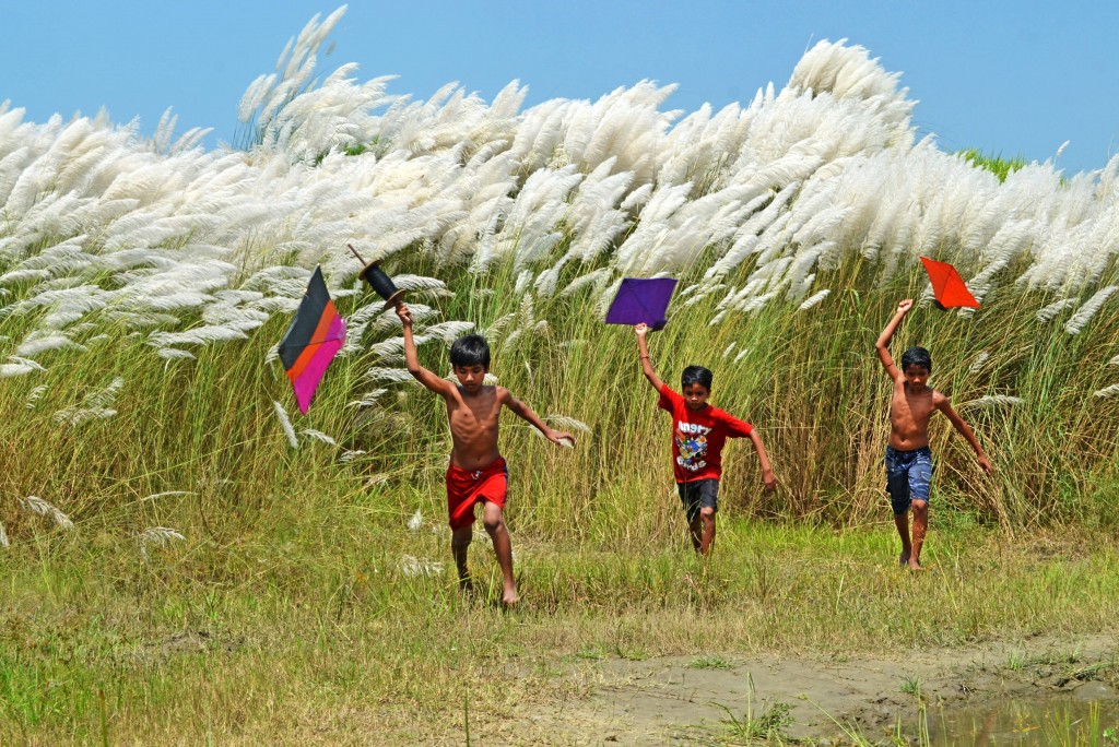 I0207___chinmoy-biswas___01-02-15___children-with-kites copy